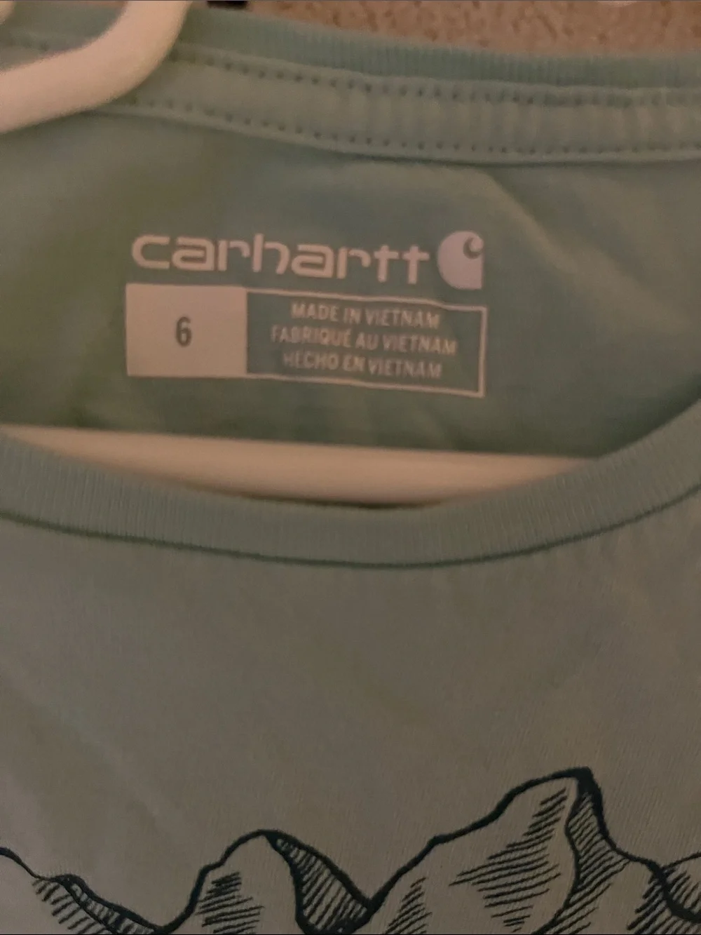 Carhartt Kids Long-Sleeve Graphic Tee — Sage Blue with Pink Logo